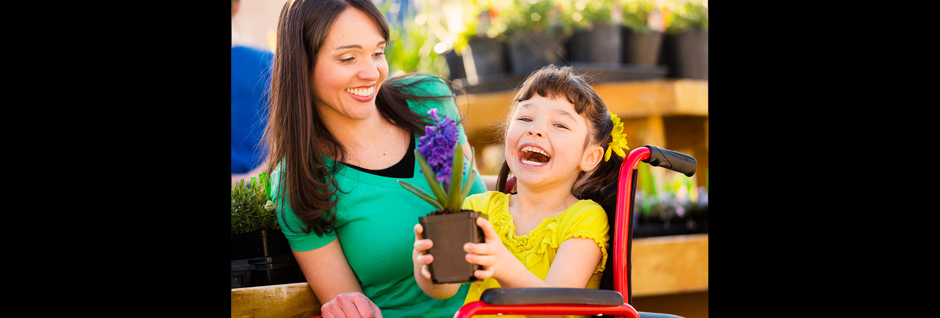 Home MiniCassia Hearts 4 Seniors In Home Care Elderly Care